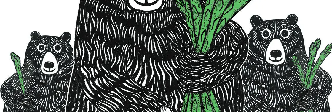 Three illustrated bears hold bundles of green asparagus in a woodcut style near sleeping bear dunes.